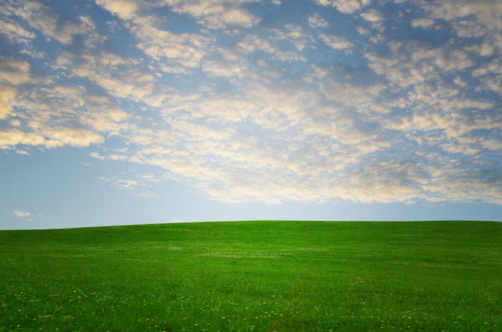 bliss